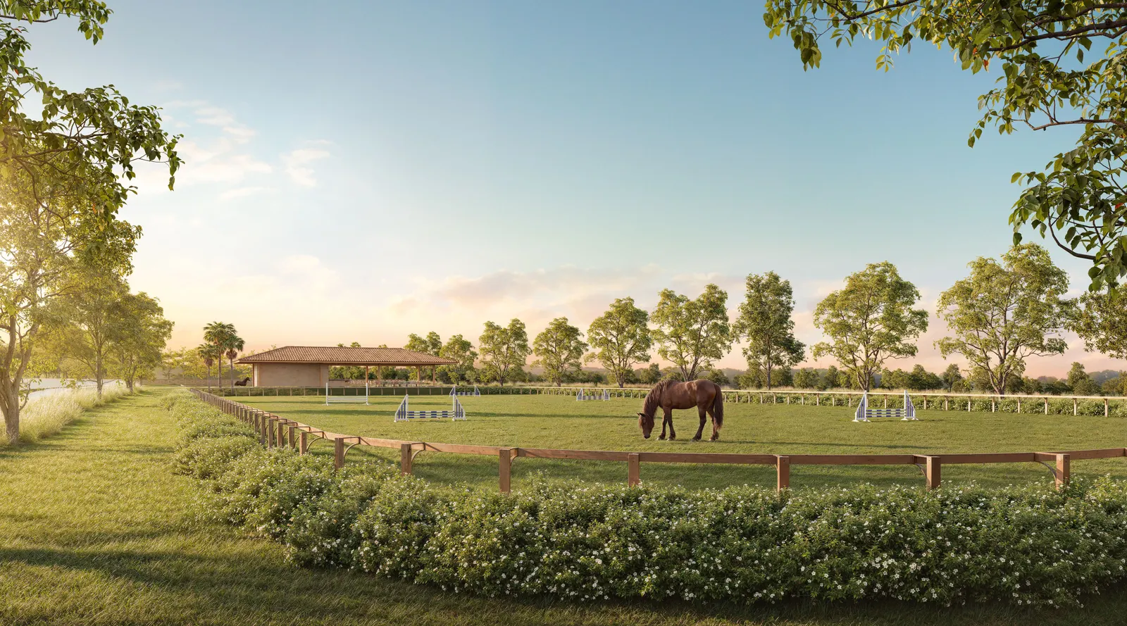 Cavalo pastando no piquete, com a sede da hípica e as pistas de hipismo ao fundo